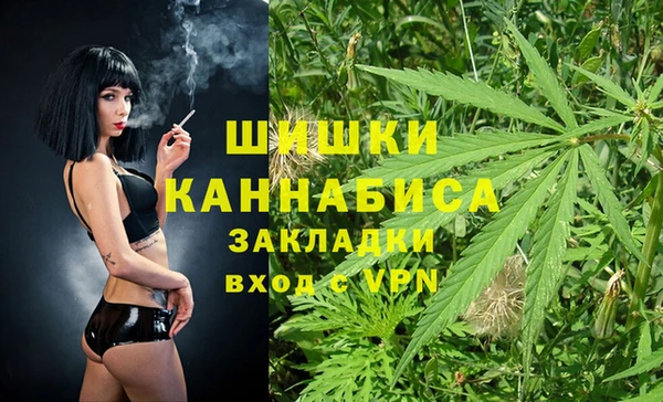 спиды Пересвет