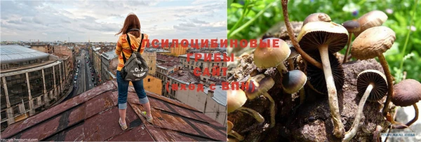 бутират Алексеевка
