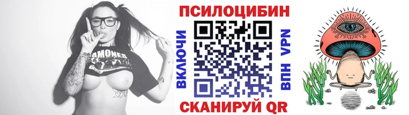 Псилоцибиновые грибы мицелий  цены   Мышкин 